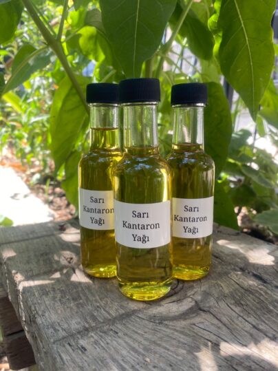 Sarı Kantaron Yağı
